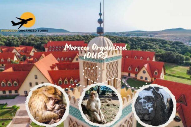Excursión de un día desde Fez a Ifrane y el bosque de cedros, El mejor viaje a Marruecos desde Fez a Ifrane y las montañas del Atlas Medio.