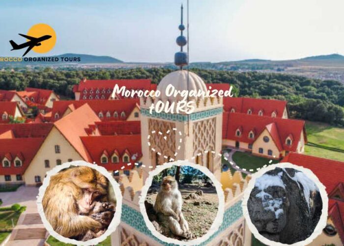 Excursión de un día desde Fez a Ifrane y el bosque de cedros, El mejor viaje a Marruecos desde Fez a Ifrane y las montañas del Atlas Medio.