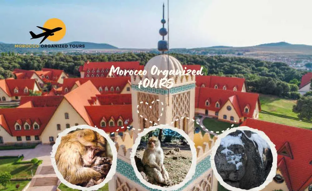 Excursión de un día desde Fez a Ifrane y el bosque de cedros, El mejor viaje a Marruecos desde Fez a Ifrane y las montañas del Atlas Medio.