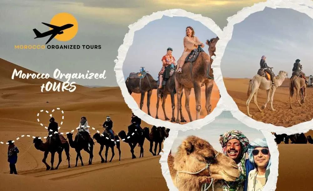 Paseo en camello y noche en el campamento,Marruecos Camel trekking en Merzouga, Marruecos Merzouga, Camel trek en Merzouga.